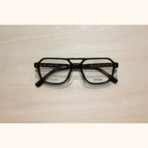 Stuart - Green w/ Tortoise